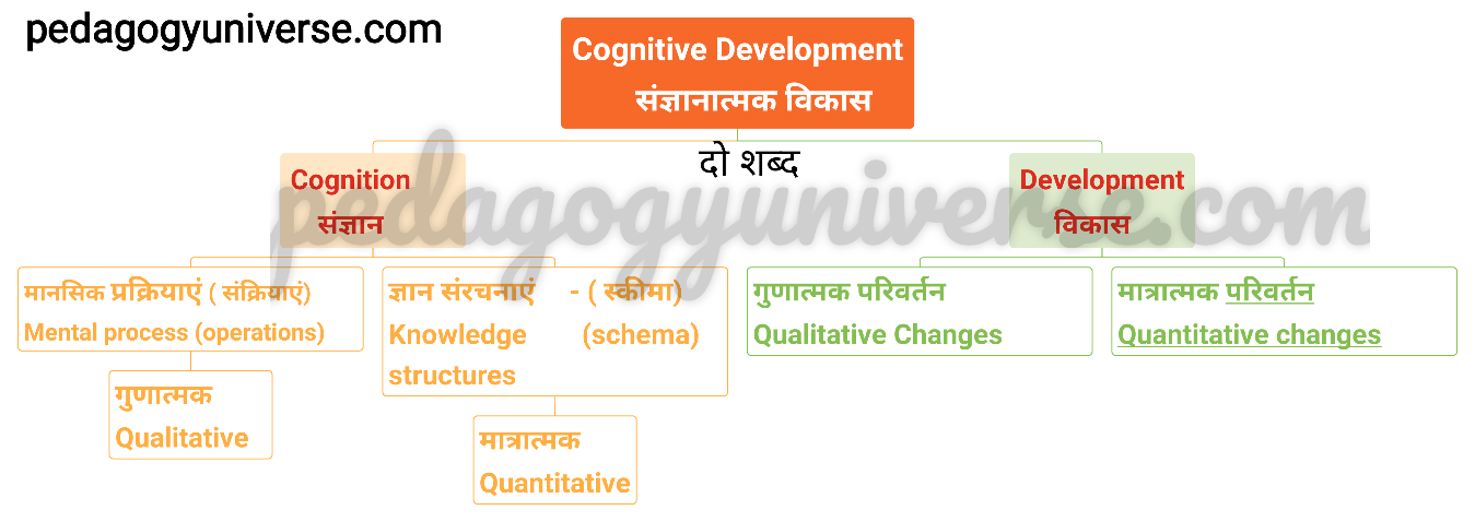 Jeen piyaje ki clearance theory