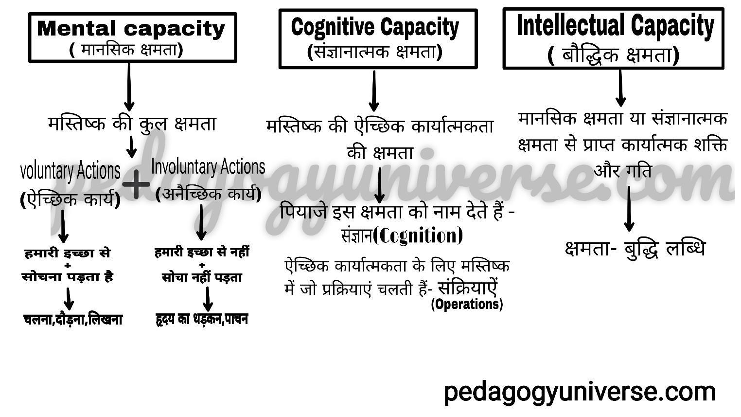 Jean Piaget Theory in Hindi Part 2