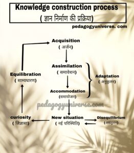 Knowledge Construction Process by Jean Piaget