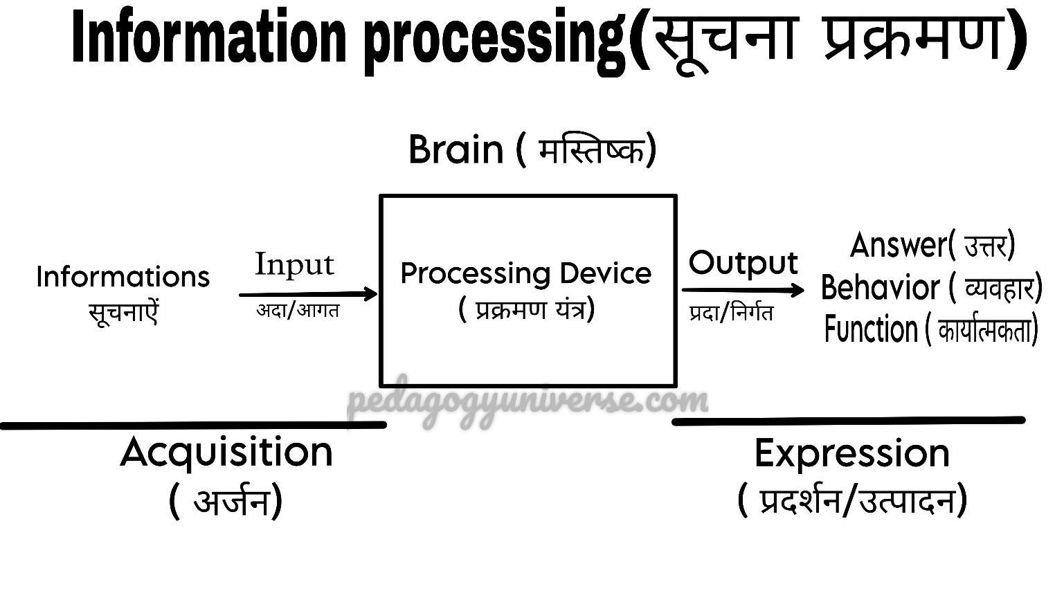 Theory of Jean Piaget in hindi, Information processing model